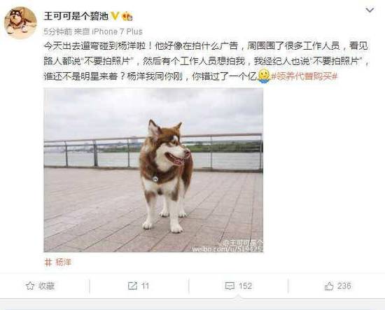 王思聪爱犬调侃杨洋错过一个亿